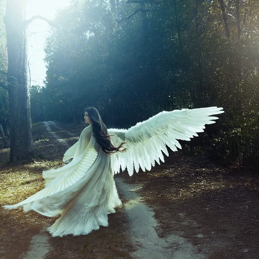 "She Ran With the Goal to Fly"