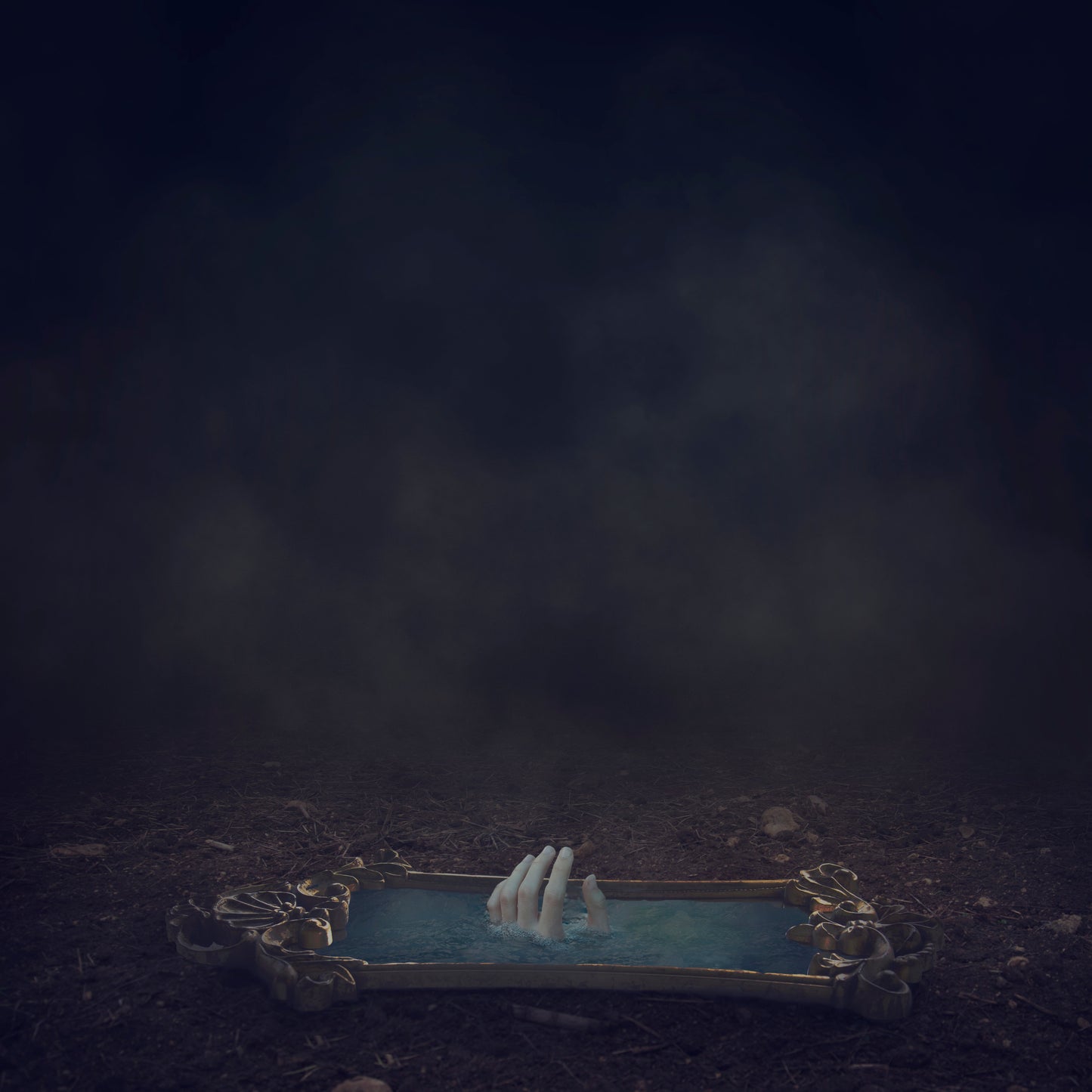 "That Which You Seek"