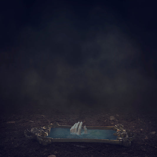 "That Which You Seek"