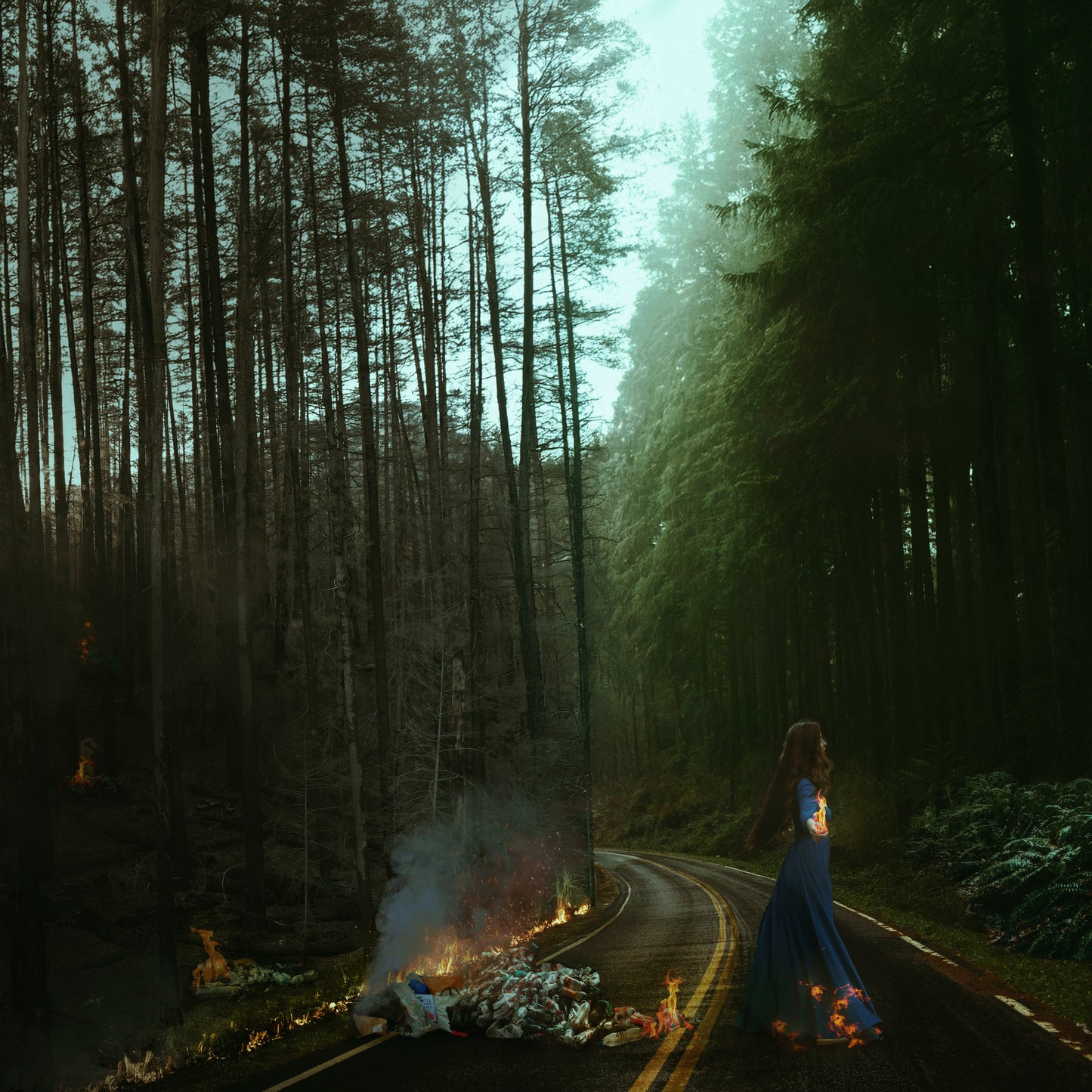 "Elegy for a Burning World"