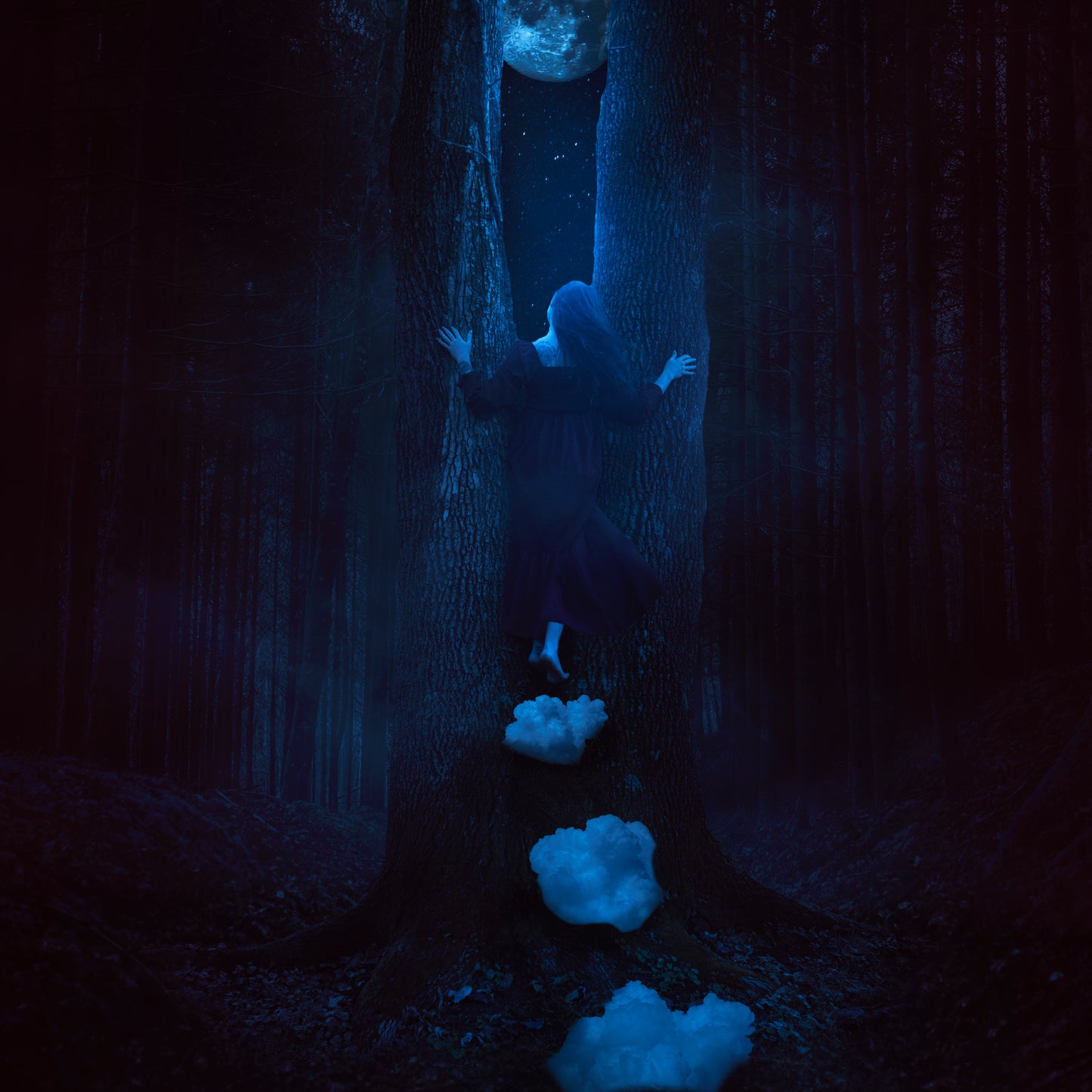 "The Forest Opened For Her Alone"