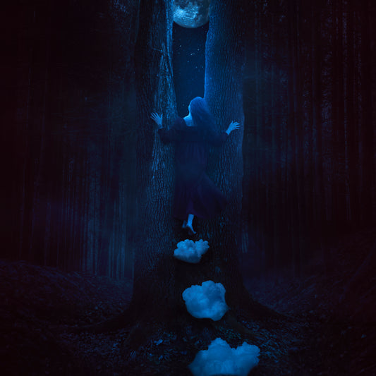 "The Forest Opened For Her Alone"