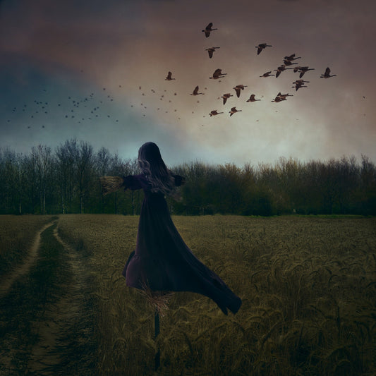 "Watching the Road & Wishing For Wings"