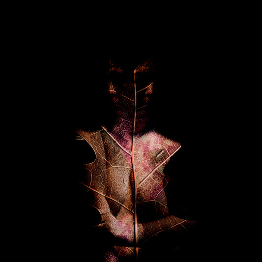 "Weathered"